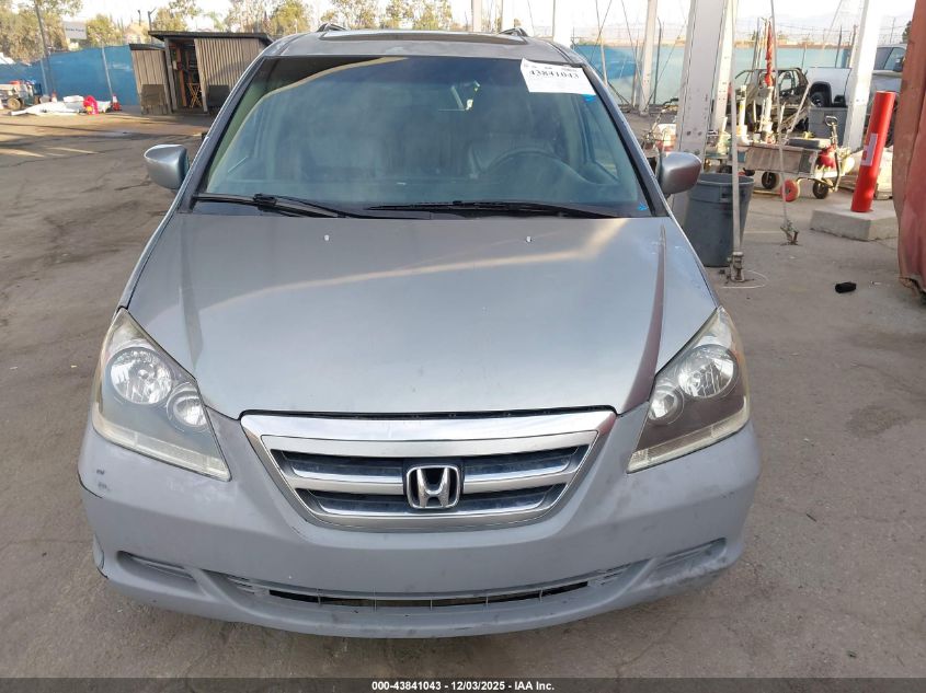 2005 Honda Odyssey Ex-L VIN: 5FNRL38795B056612 Lot: 43841043