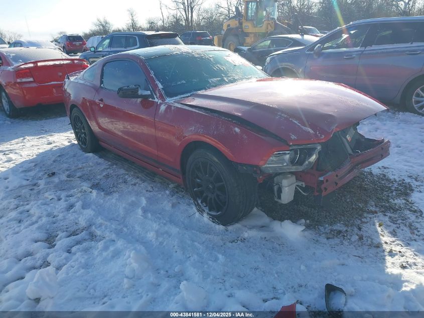 FORD MUSTANG V6 PREMIUM