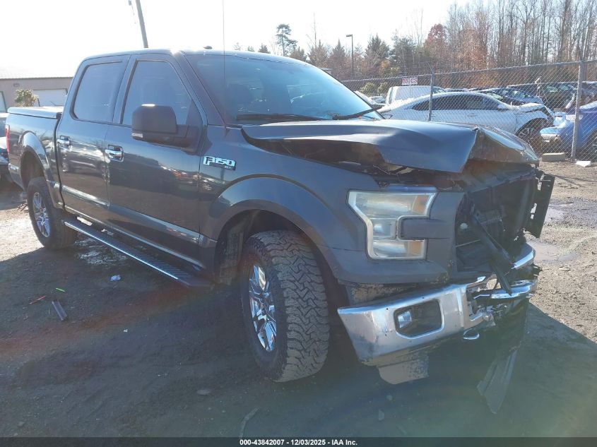 FORD F-150 XLT