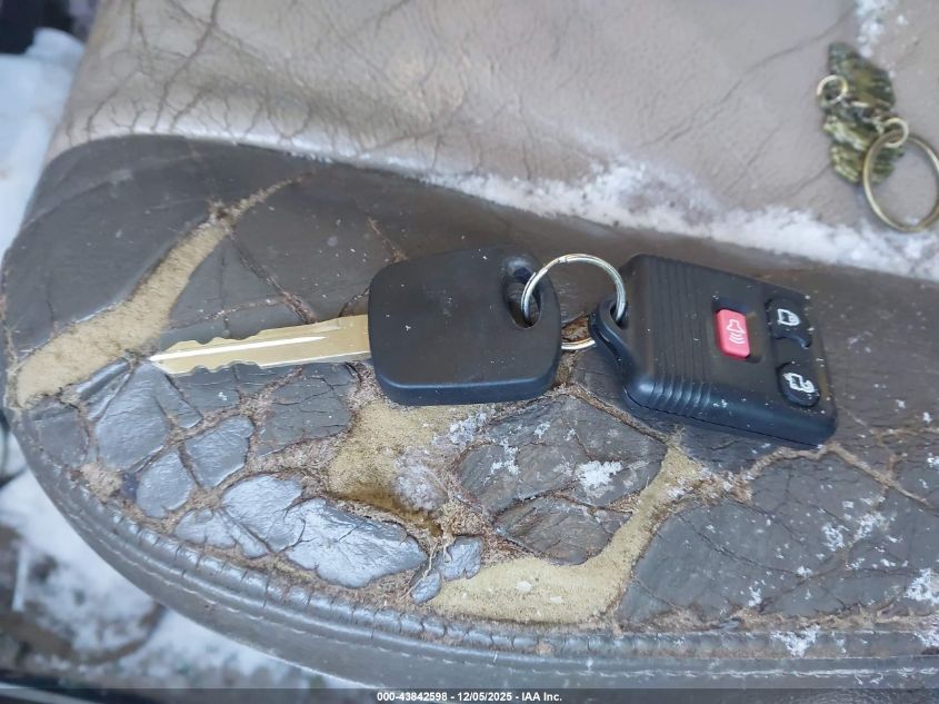 2004 Ford Excursion Eddie Bauer VIN: 1FMNU45S54EA29669 Lot: 43842598