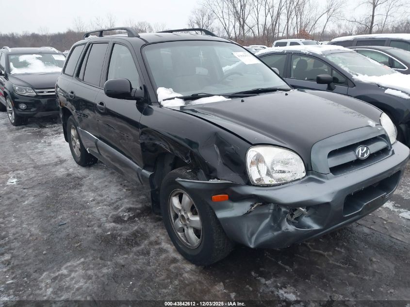 2005 Hyundai Santa Fe Gls VIN: KM8SC73D35U908820 Lot: 43842612