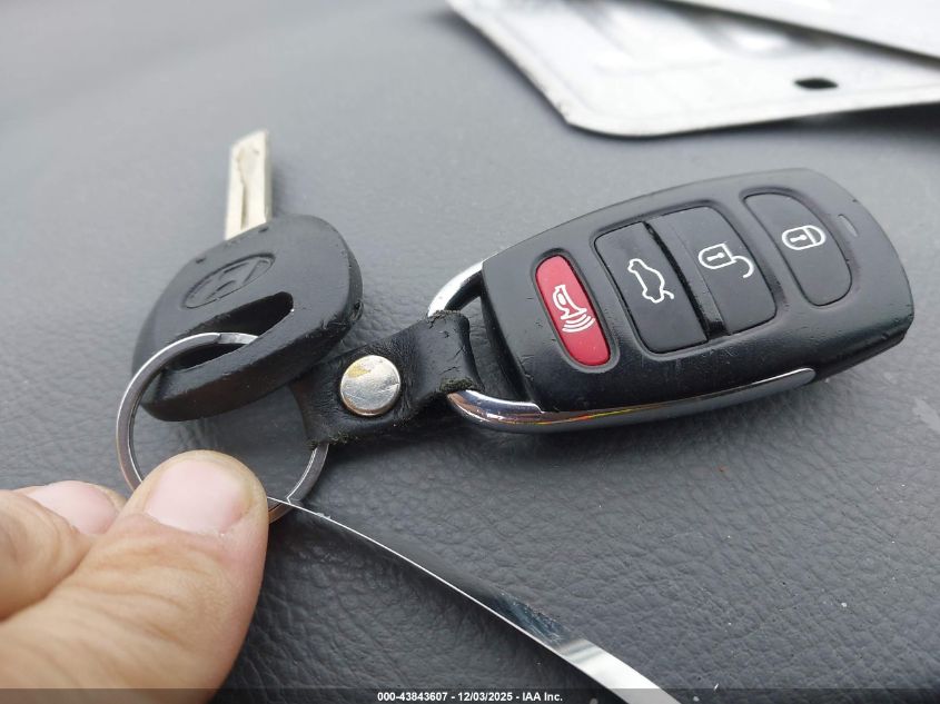 2006 Hyundai Azera Limited/Se VIN: KMHFC46F46A050869 Lot: 43843607