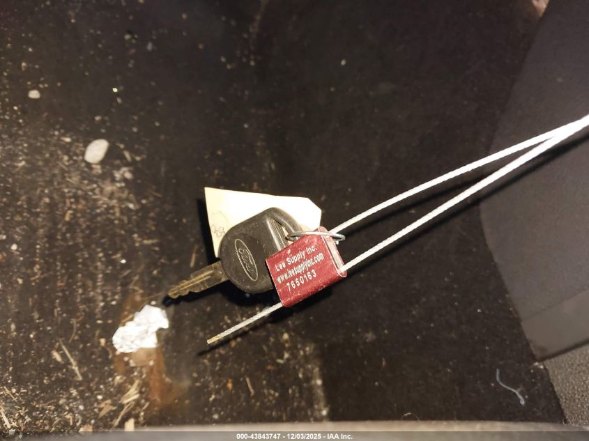 2008 Ford Mustang Gt Deluxe/Gt Premium VIN: 1ZVHT85HX85186696 Lot: 43843747