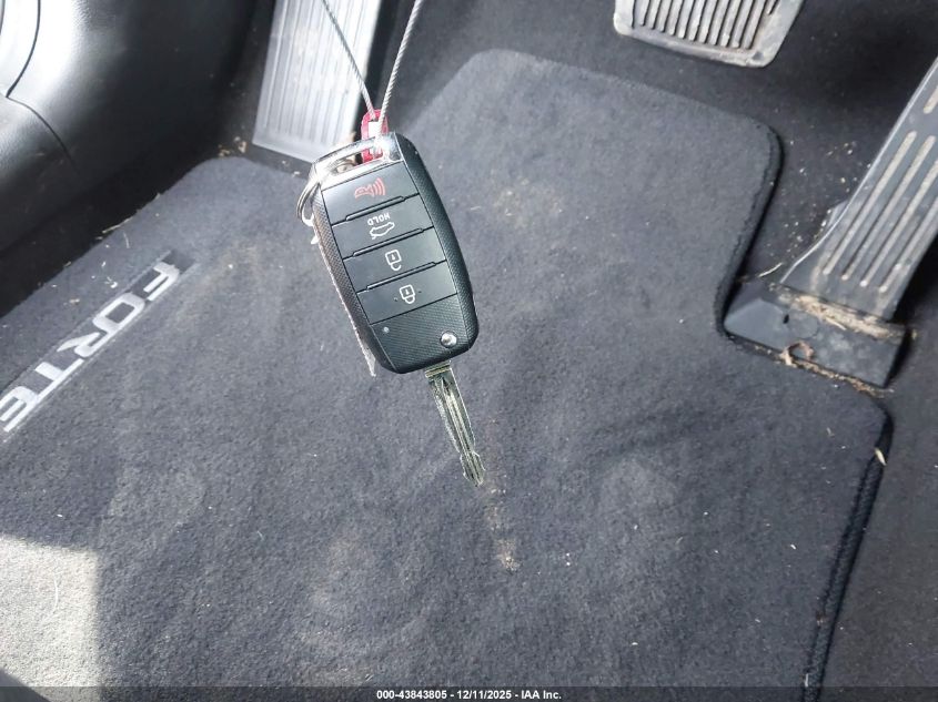 2016 Kia Forte Lx VIN: KNAFK5A80G5638555 Lot: 43843805