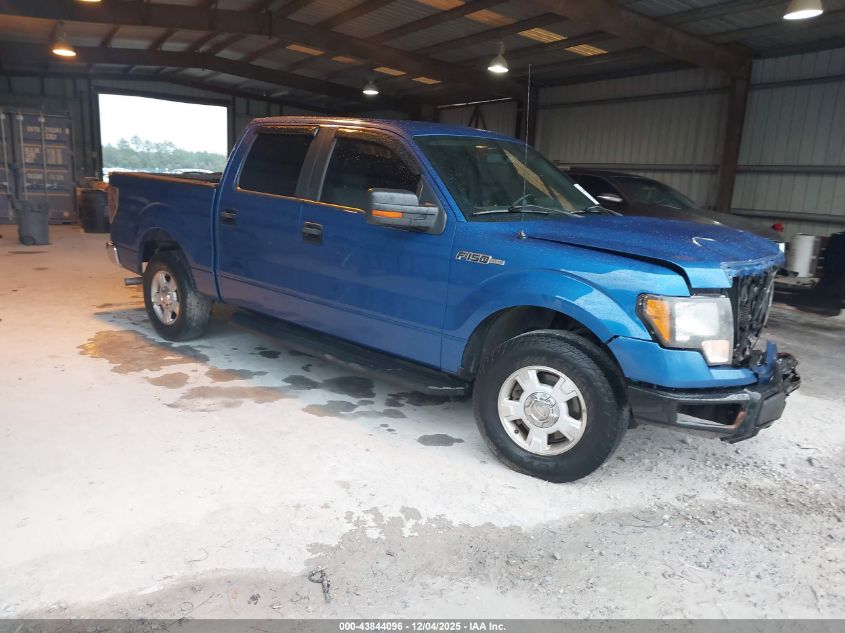FORD F-150 FX2 SPORT/HARLEY-DAVIDSON/KING RANCH/LARIAT/PLATINUM/XL/XLT