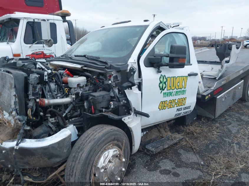 2023 Chevrolet Silverado Md Work Truck VIN: 1HTKHPVKXPH586242 Lot: 43844159