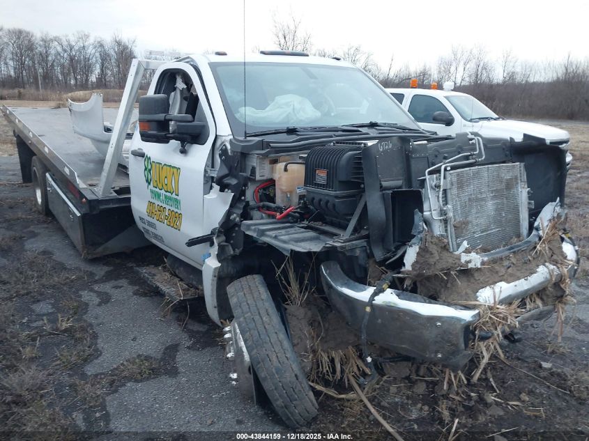 2023 Chevrolet Silverado Md Work Truck VIN: 1HTKHPVKXPH586242 Lot: 43844159