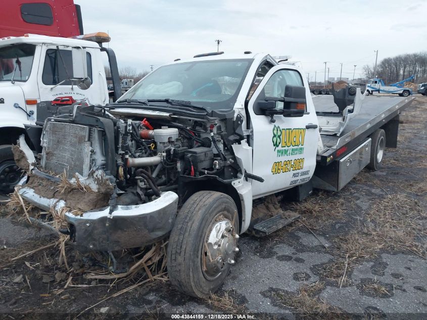 2023 Chevrolet Silverado Md Work Truck VIN: 1HTKHPVKXPH586242 Lot: 43844159