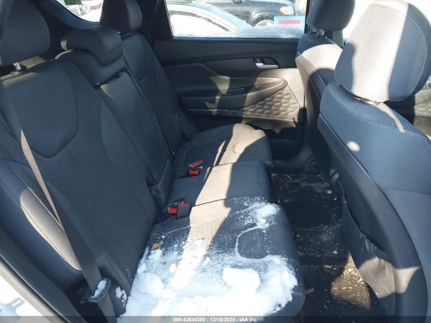 2019 Hyundai Santa Fe Se VIN: 5NMS2CADXKH036268 Lot: 43844300