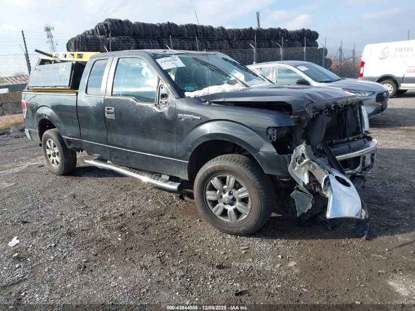 FORD F-150 STX/XL/XLT