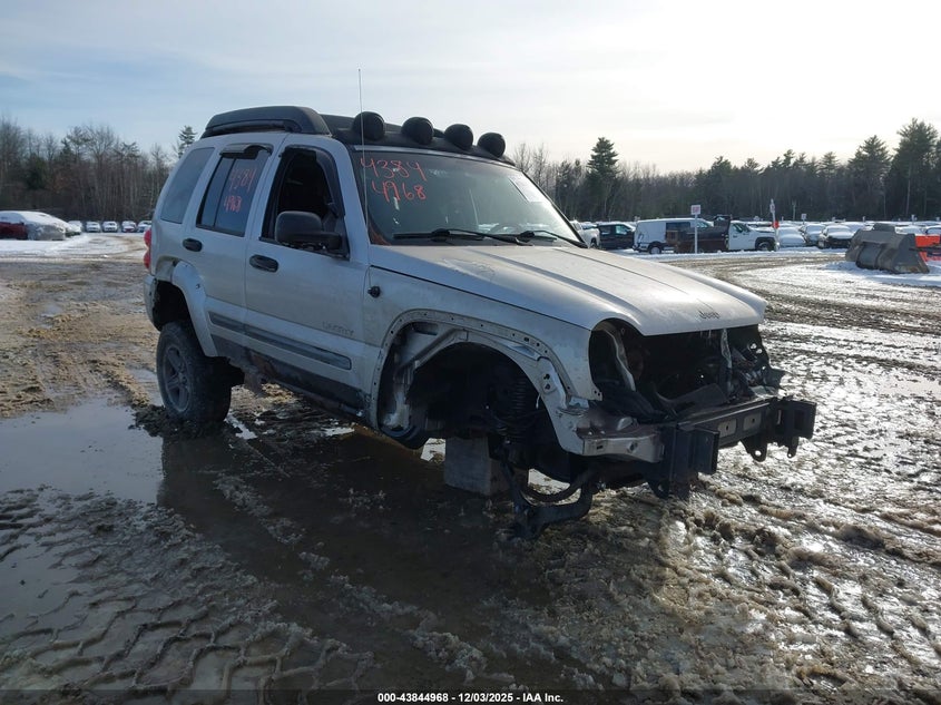 2004 Jeep Liberty Renegade