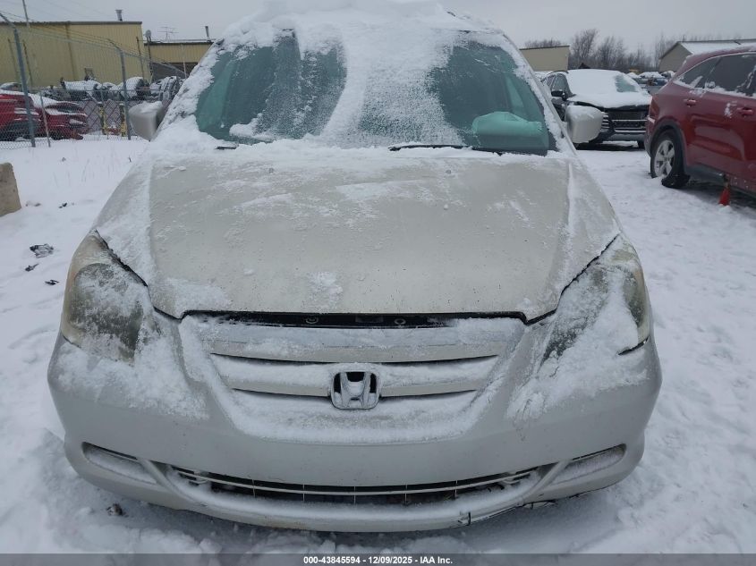 2005 Honda Odyssey Ex-L VIN: 5FNRL38655B419544 Lot: 43845594