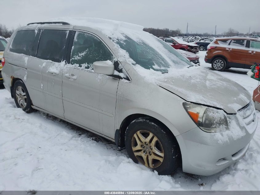 2005 Honda Odyssey Ex-L VIN: 5FNRL38655B419544 Lot: 43845594