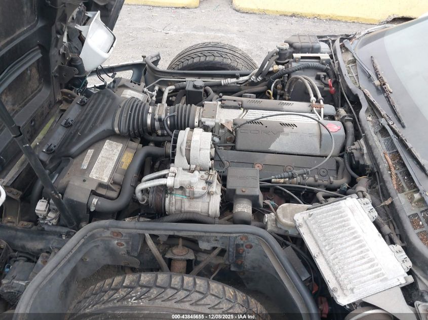 1996 Chevrolet Corvette VIN: 1G1YY22P9T5105105 Lot: 43845655