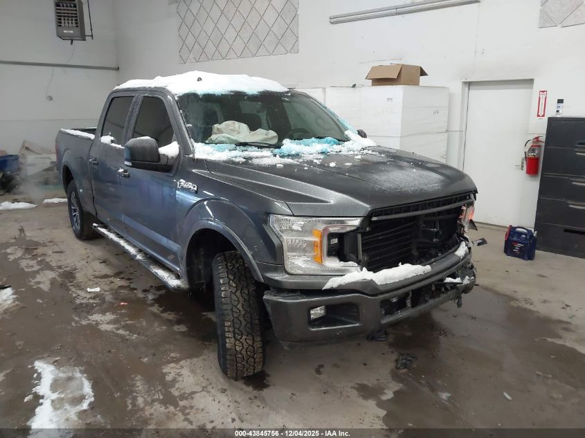 FORD F-150 XLT