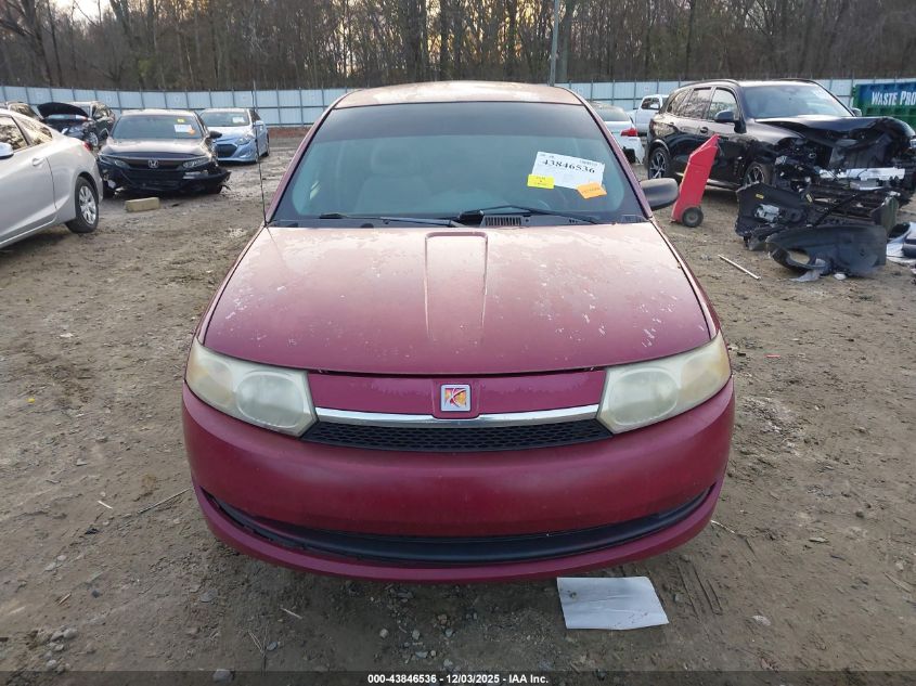 2004 Saturn Ion 2 VIN: 1G8AZ52F44Z163206 Lot: 43846536