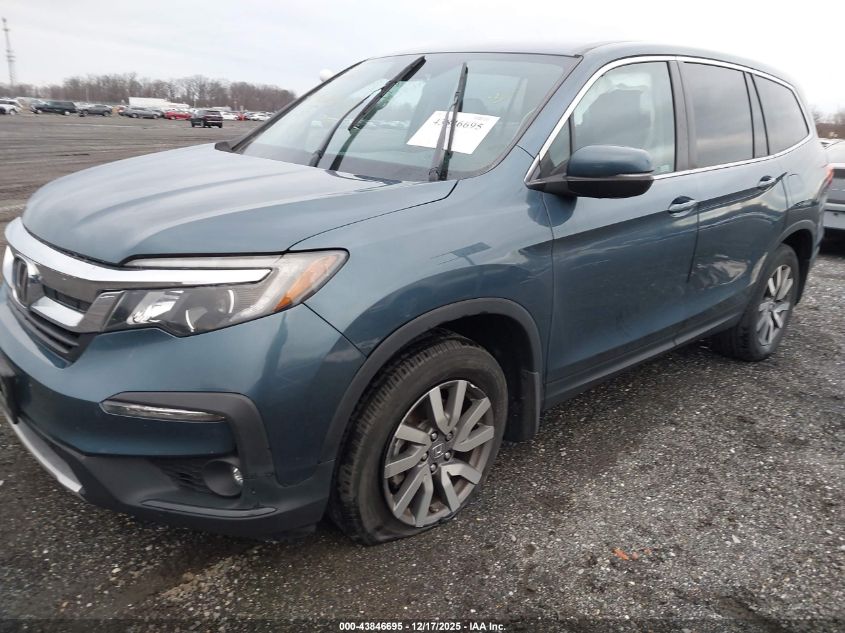 2019 Honda Pilot Ex VIN: 5FNYF6H34KB100836 Lot: 43846695