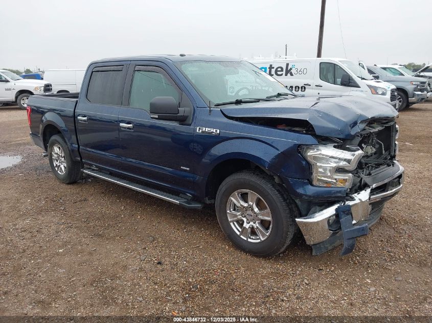 FORD F-150 XLT