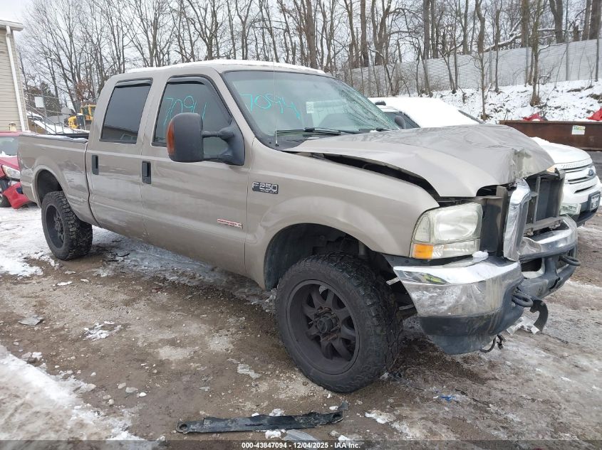 2004 Ford F-250 Lariat/Xl/Xlt VIN: 1FTNW21P24EB46355 Lot: 43847094