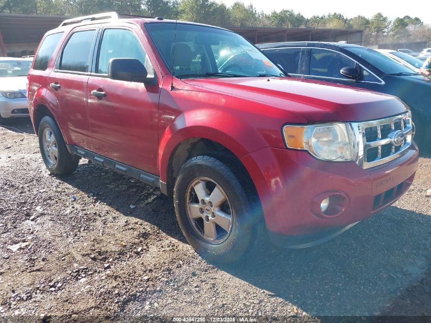 FORD ESCAPE XLT