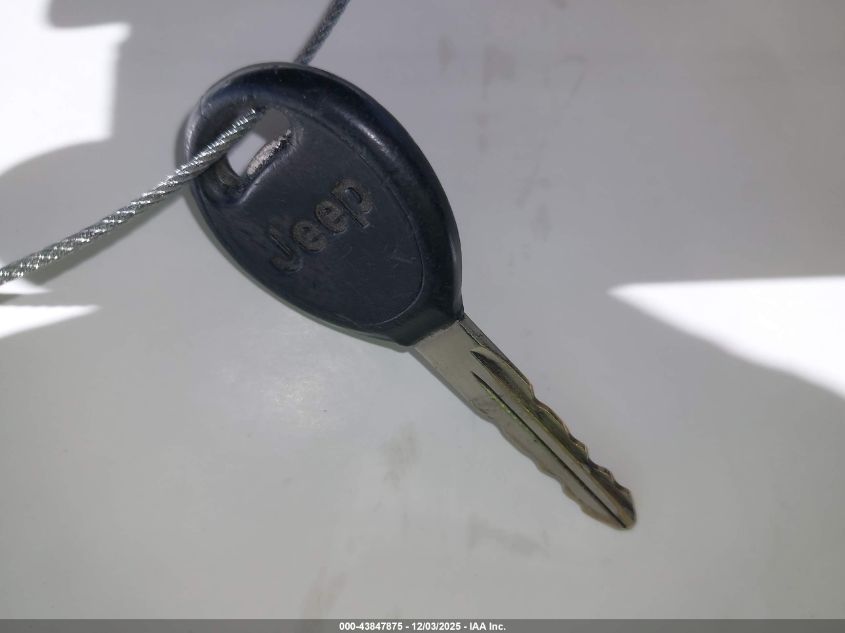 2000 Jeep Wrangler Se VIN: 1J4FA29P9YP785909 Lot: 43847875