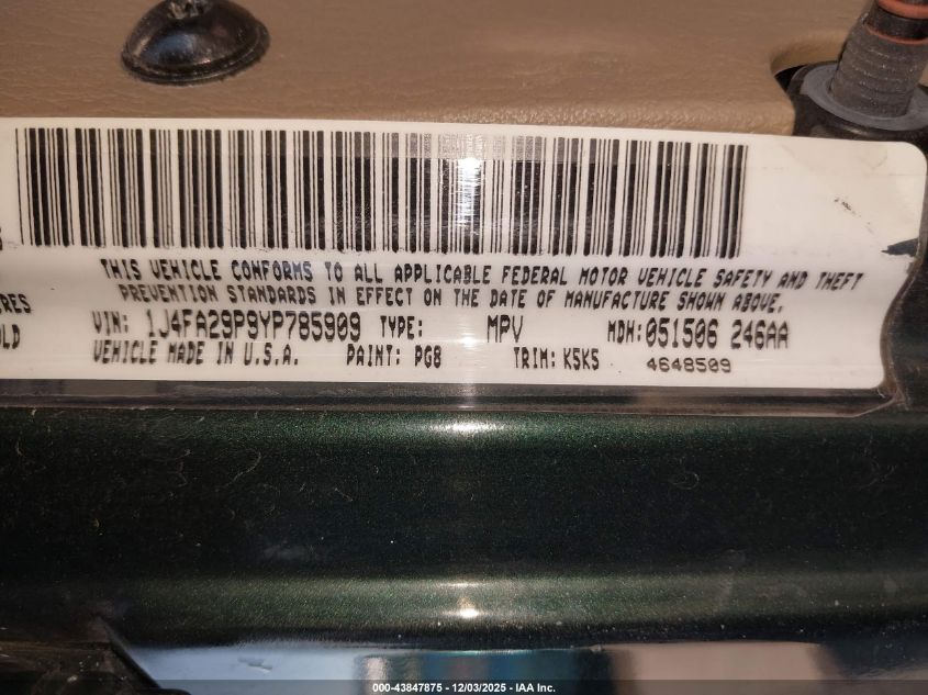 2000 Jeep Wrangler Se VIN: 1J4FA29P9YP785909 Lot: 43847875