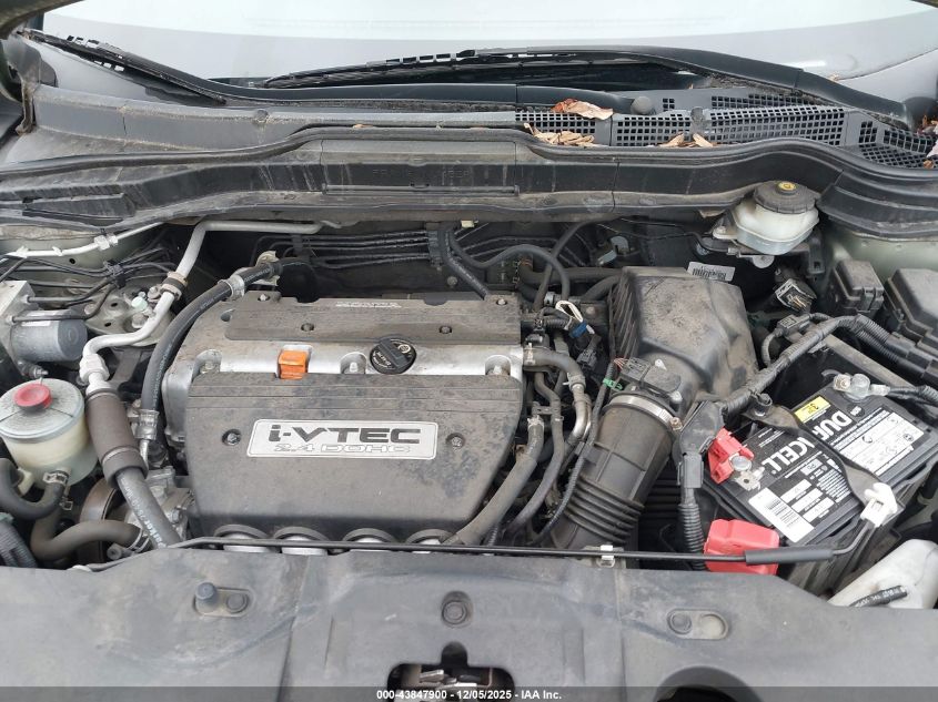 2007 Honda Cr-V Ex-L VIN: 5J6RE487X7L013259 Lot: 43847900