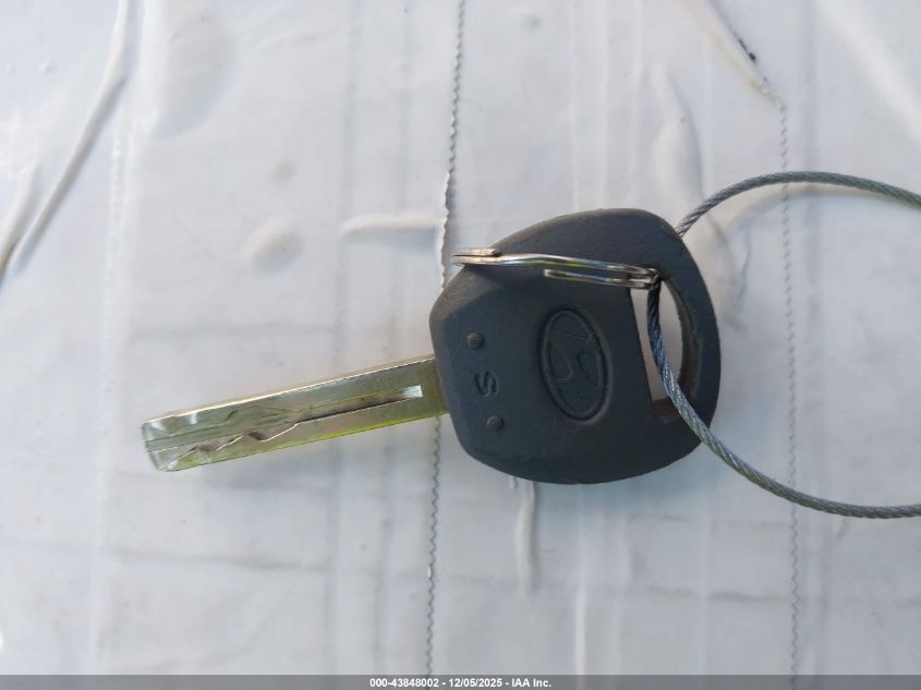 2006 Hyundai Azera Limited/Se VIN: KMHFC46F26A102287 Lot: 43848002