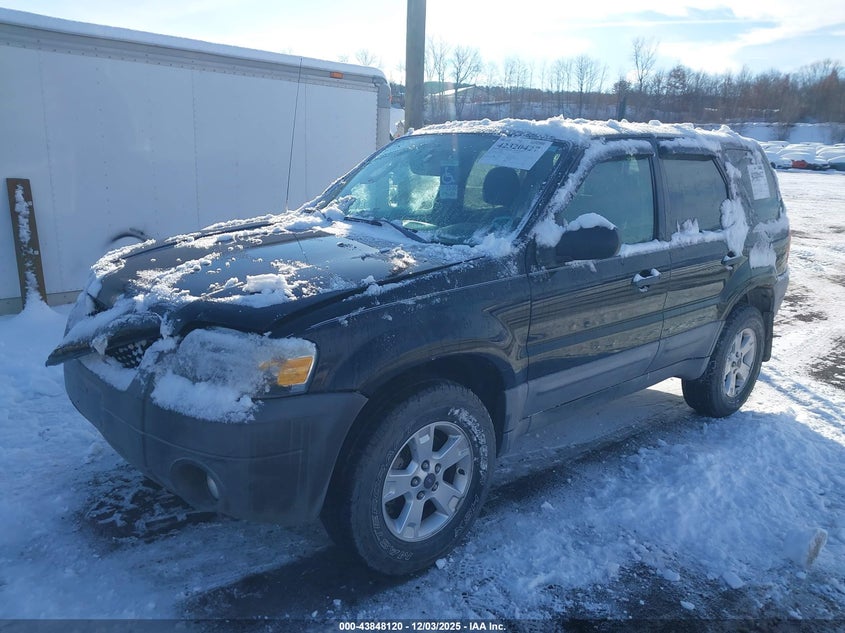 2007 Ford Escape Xlt/Xlt Sport