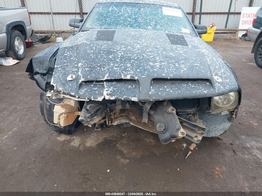 2008 Ford Mustang V6 Deluxe/V6 Premium VIN: 1ZVHT80NX85149158 Lot: 43848247