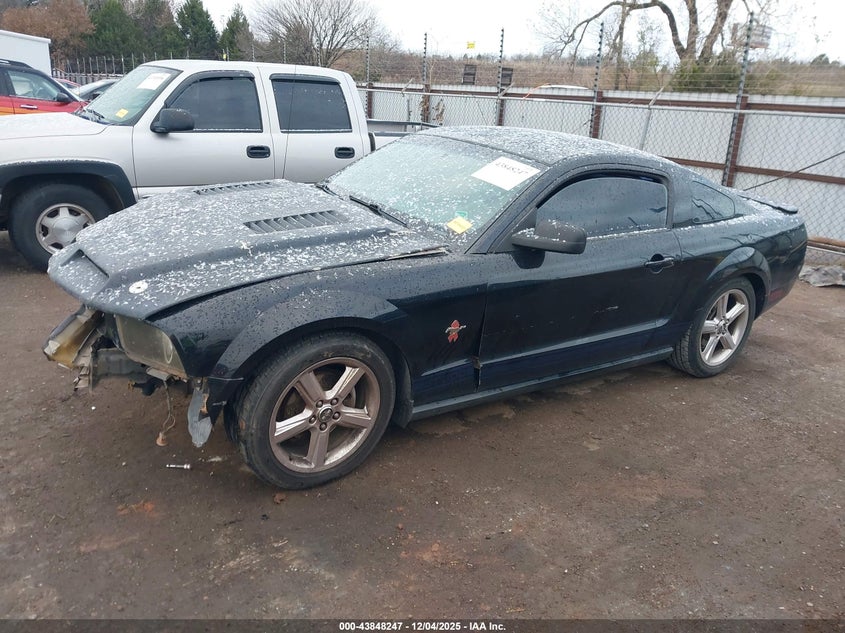 2008 Ford Mustang V6 Deluxe/V6 Premium