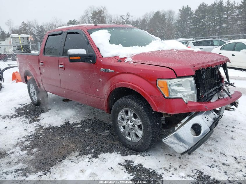 FORD F-150 FX4/HARLEY-DAVIDSON/KING RANCH/LARIAT/PLATINUM/XL/XLT