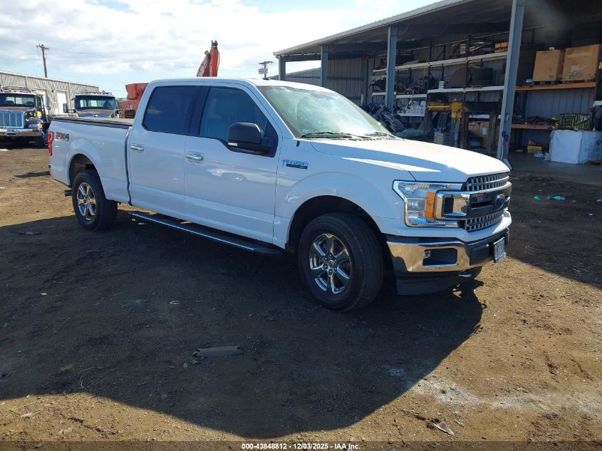 FORD F-150 XLT