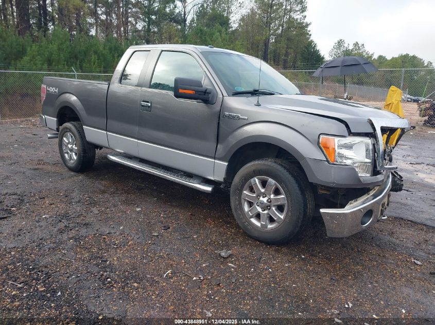FORD F-150 XLT