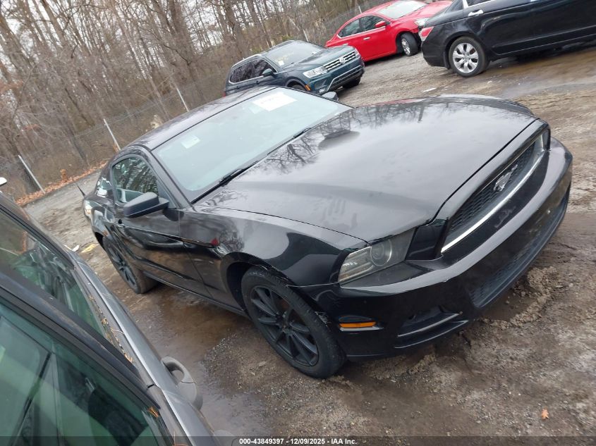 FORD MUSTANG V6
