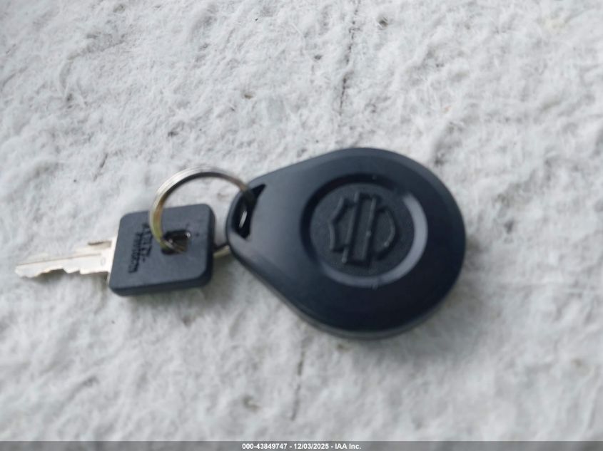 2009 Harley-Davidson Xl1200 C VIN: 1HD1CT3149K455385 Lot: 43849747