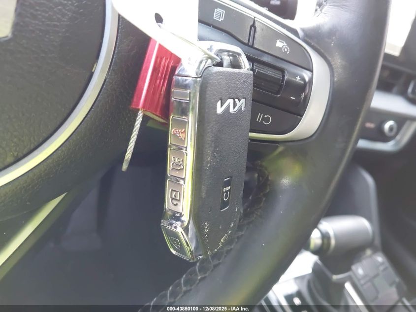 2024 Kia Sportage X-Line VIN: 5XYK6CDF7RG167082 Lot: 43850100