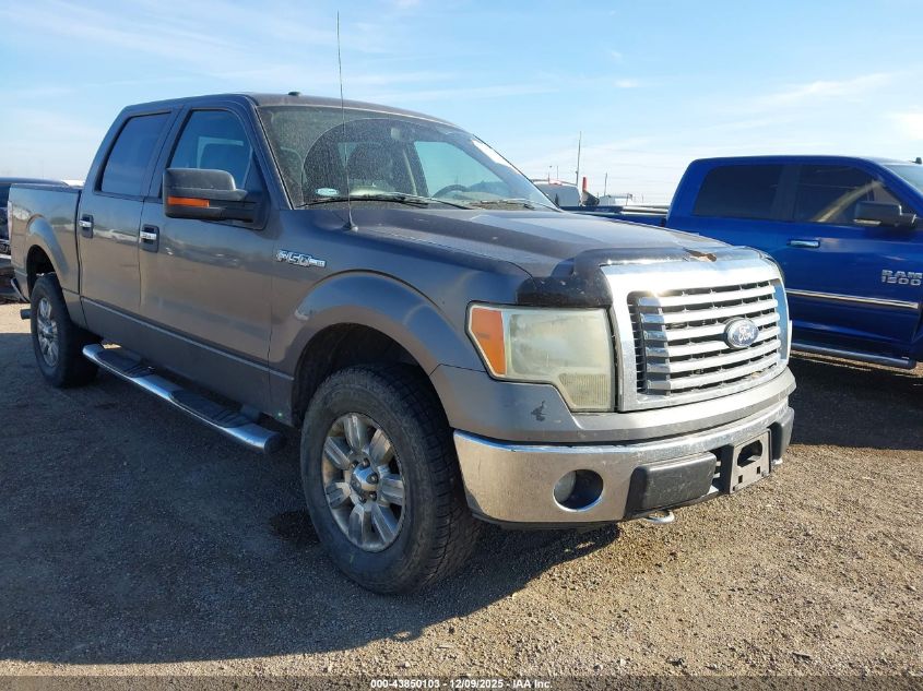 FORD F-150 XL/XLT