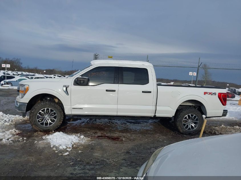 2021 Ford F-150 Xlt VIN: 1FTFW1E16MFC73656 Lot: 43850375