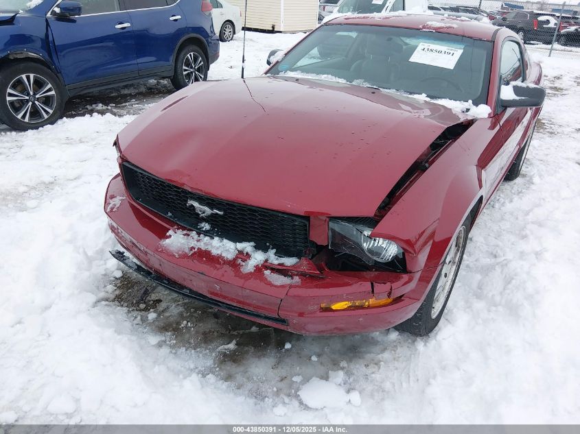 2008 Ford Mustang V6 Deluxe/V6 Premium VIN: 1ZVHT80N885120600 Lot: 43850391