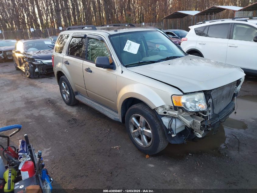 FORD ESCAPE XLT