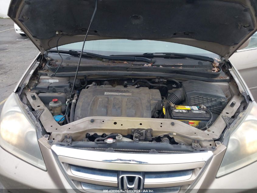 2005 Honda Odyssey Ex-L VIN: 5FNRL38655B018463 Lot: 43850427