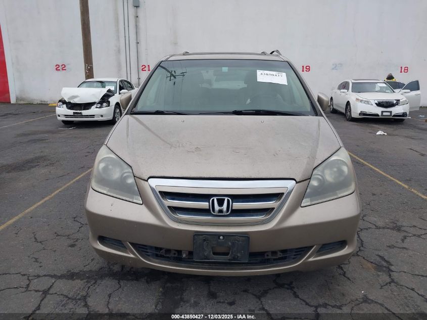 2005 Honda Odyssey Ex-L VIN: 5FNRL38655B018463 Lot: 43850427