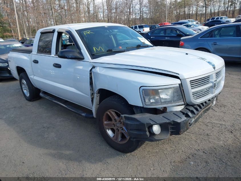 RAM DAKOTA BIGHORN/LONESTAR