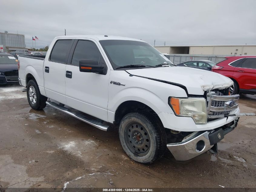 FORD F-150 XLT