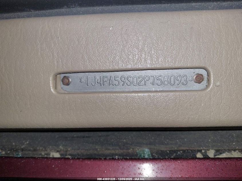 2002 Jeep Wrangler Sahara VIN: 1J4FA59S02P758093 Lot: 43851225
