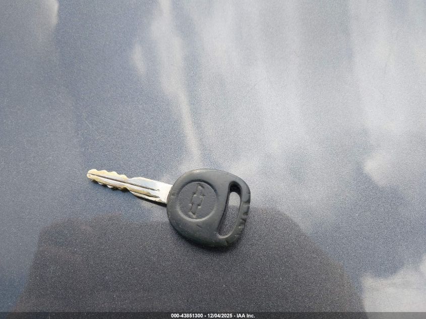 2002 Chevrolet Silverado 1500 Ls VIN: 2GCEC19T421318002 Lot: 43851300