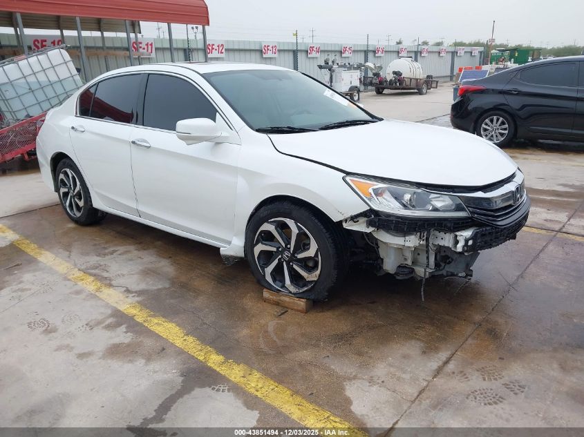 HONDA ACCORD EX-L V6