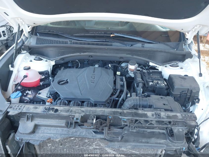 2023 Hyundai Santa Fe Sel VIN: 5NMS3DAJ5PH531591 Lot: 43851637