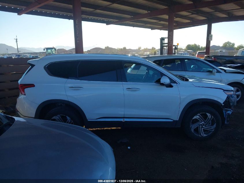 2023 Hyundai Santa Fe Sel VIN: 5NMS3DAJ5PH531591 Lot: 43851637